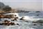 ca-0299_monterey.jpg