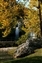 ok-5202_turnerfalls.jpg