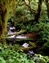 orwaterfall_4261.jpg