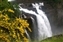wa-9026_snoqualmie_falls2.jpg