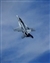 f-18-0148-07-5d_FA-18.jpg