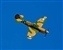 p-40-2159-06a-5d_warhawk.jpg