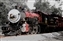 tx-6324-04_tsr_a.jpg