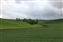 7607-10-5d2_Fields of Green.jpg