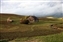 7817-10-5d_wheat field and barn.jpg