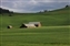 7929-10-5d_wheat field and barn.jpg