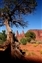 Monument_Valley-4258-06-20d.jpg
