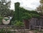 3530-11-5d2_Gruene river grill_HDR2.jpg