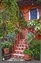 0801-11-5d2_bosque1_HDR2.jpg