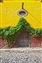1517-11-5d2_yellow _HDR2.jpg