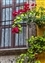 2974-11-5d2_red on yellow_HDR2.jpg