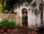 6634-07-5d_sm2_wallflower.jpg