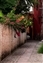 8866-07-5d_sam2_sm.jpg