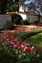 0254-06-20d_arboritum.jpg