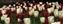 0334-06-20d_tulips.jpg