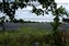 0718-06-5d_bluebonnets and grapevine.jpg