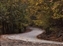 0820-10-5d2_yosemite fall path.jpg