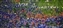 1755-08-5d_bb-long.jpg