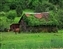 4362_06-5d_horse and barn.jpg