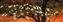9363-06-20d_dogwood.jpg
