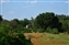 9824-70-5d_windmill blanket.jpg